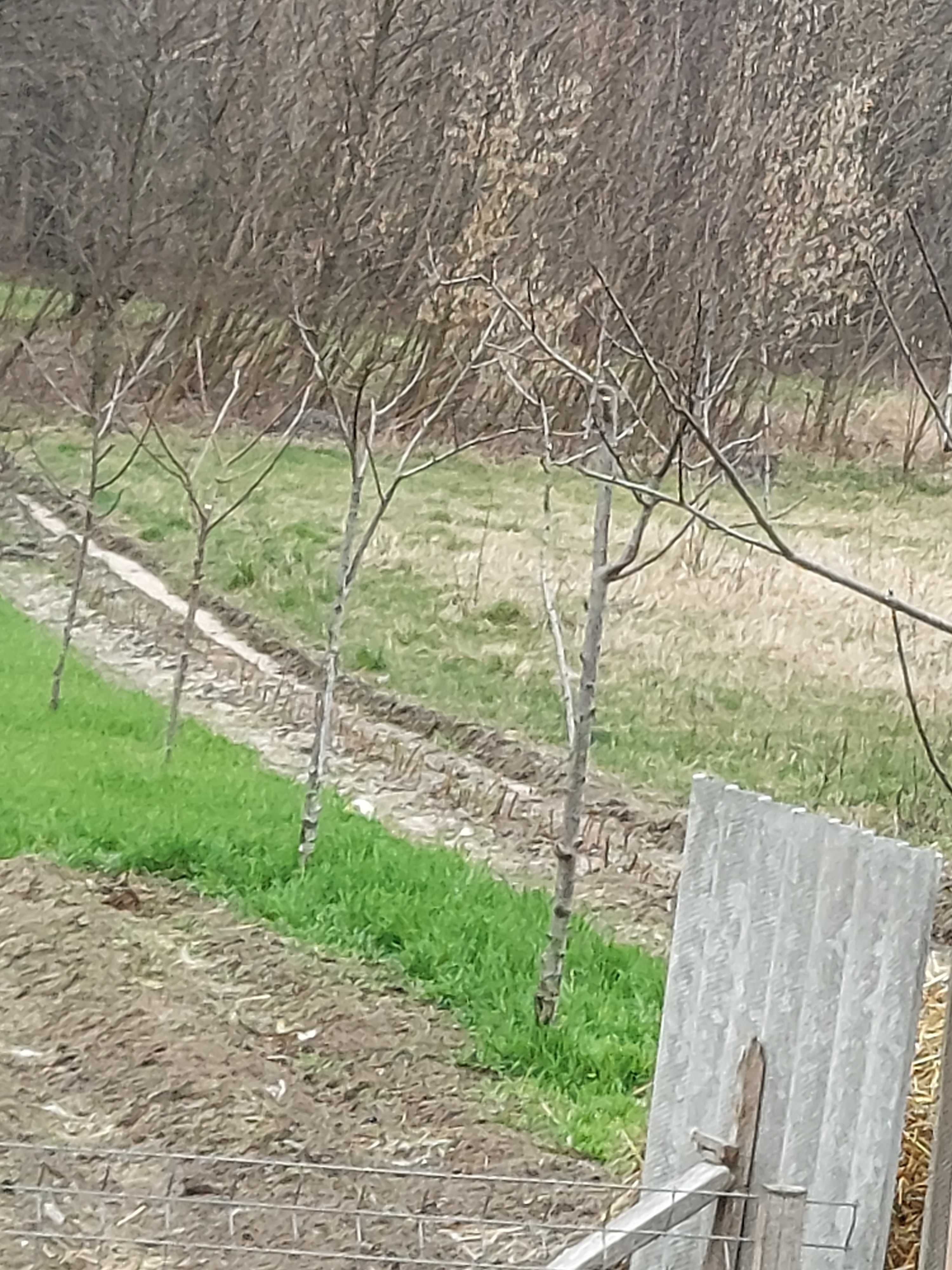 Działka rolno-budowlana na sprzedaż