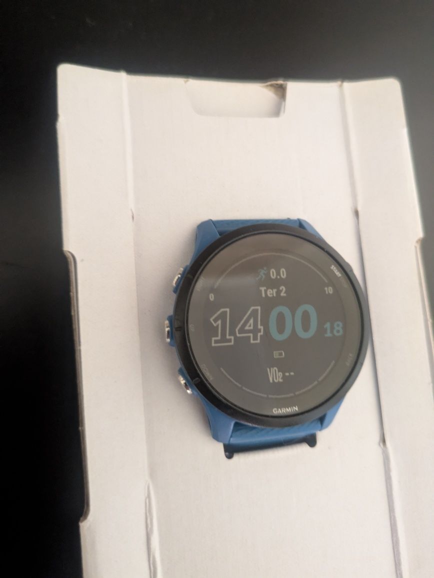 Garmin Forerunner 255