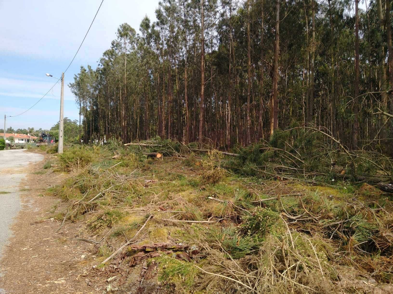 obras i recolhas de entulho