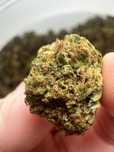 50 Gram Strawberry haze CBD Jakość Premium