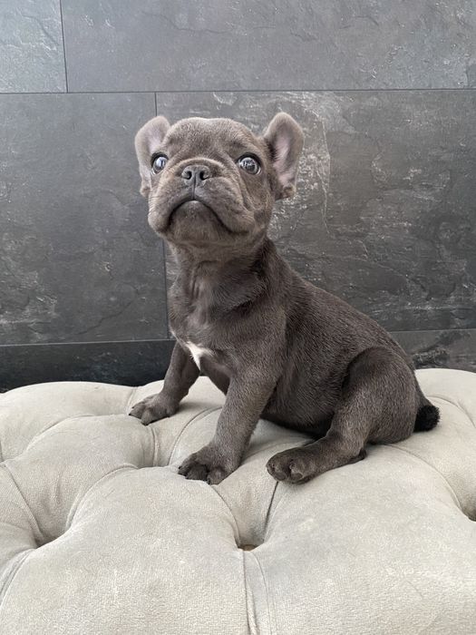 Мини мини мальчишка в голубом окрасе