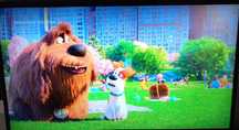 Telewizor Samsung / 55 ‘’ / 4K / Smart / DVB-T2