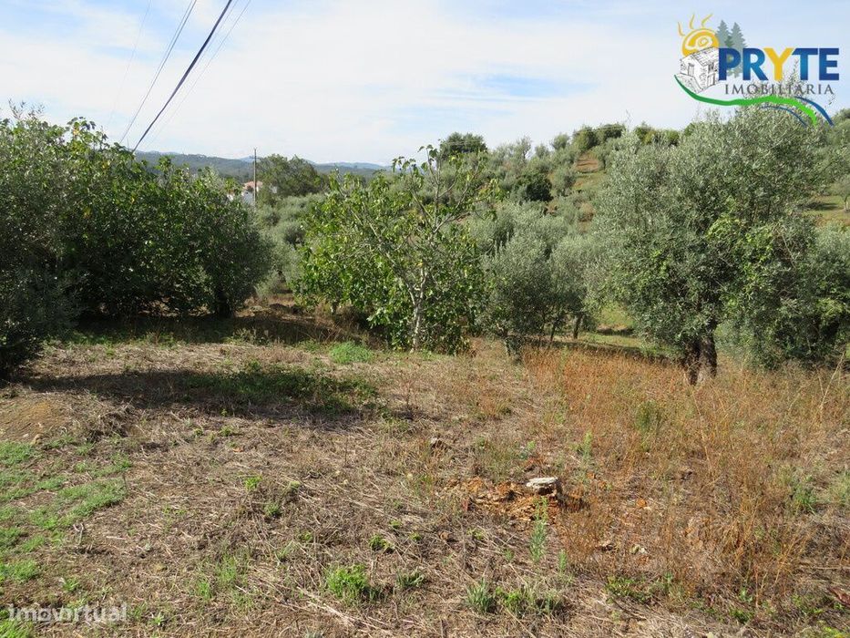 Terreno para construção com área de 2750 m2 perto da Sertã