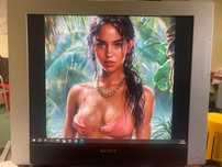 Monitor Sony SDM-HX93