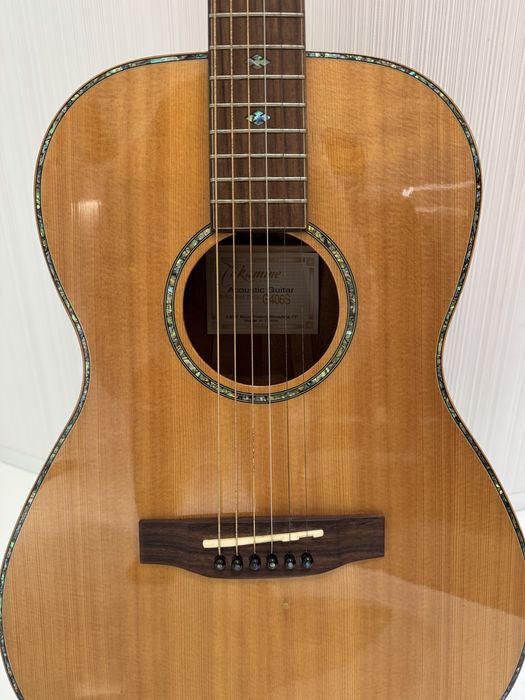 Guitarra acústica Takamine