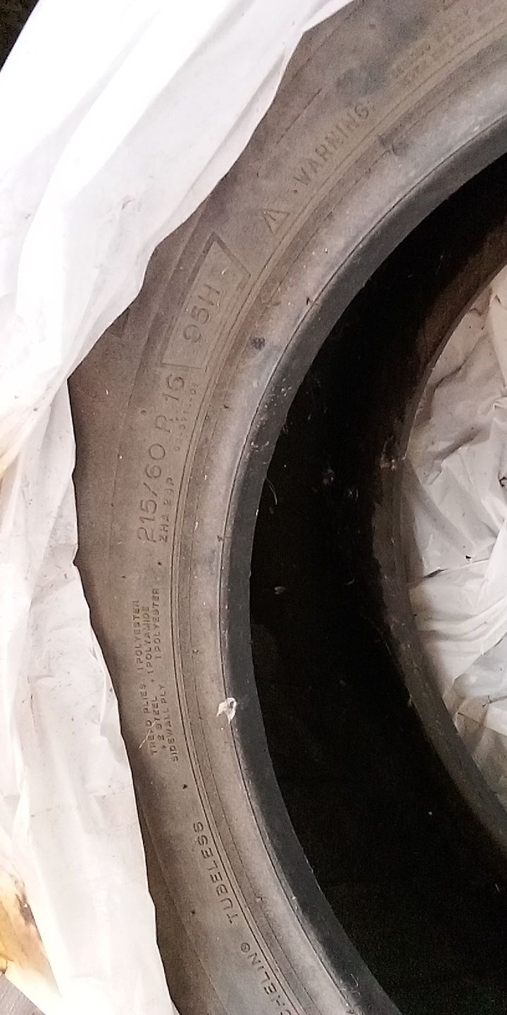 Шини Michelin та Hankook R16 215/60