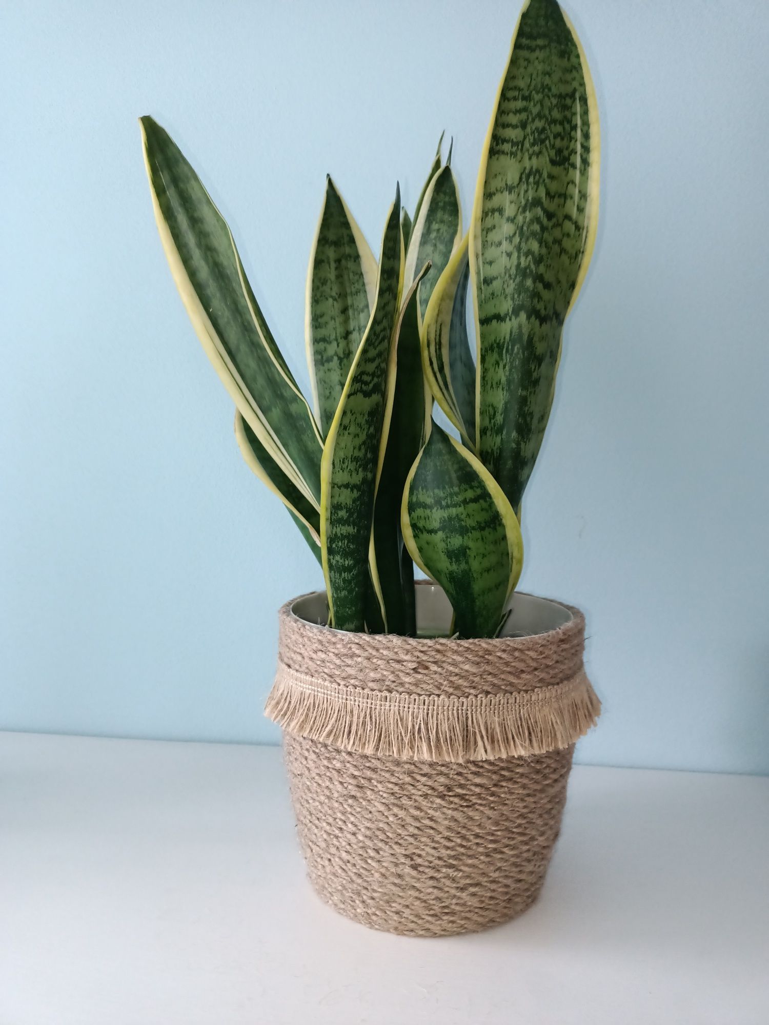 Doniczka osłonka 2w1 w stylu Boho. Średnica 17 cm