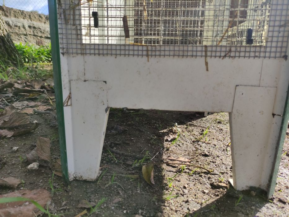 Gaiola para pássaros
