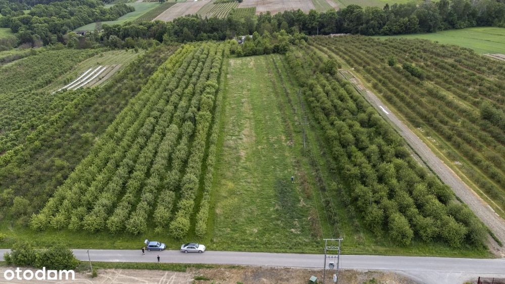 Na sprzedaż działka gruntowa 3,1236 HA - Kolonia Boiska