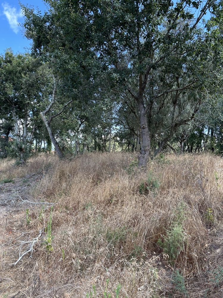 Terreno para venda