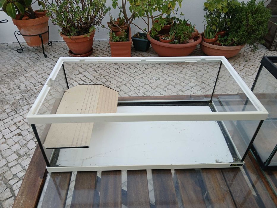 Vários aquários, pequenos e grandes usado