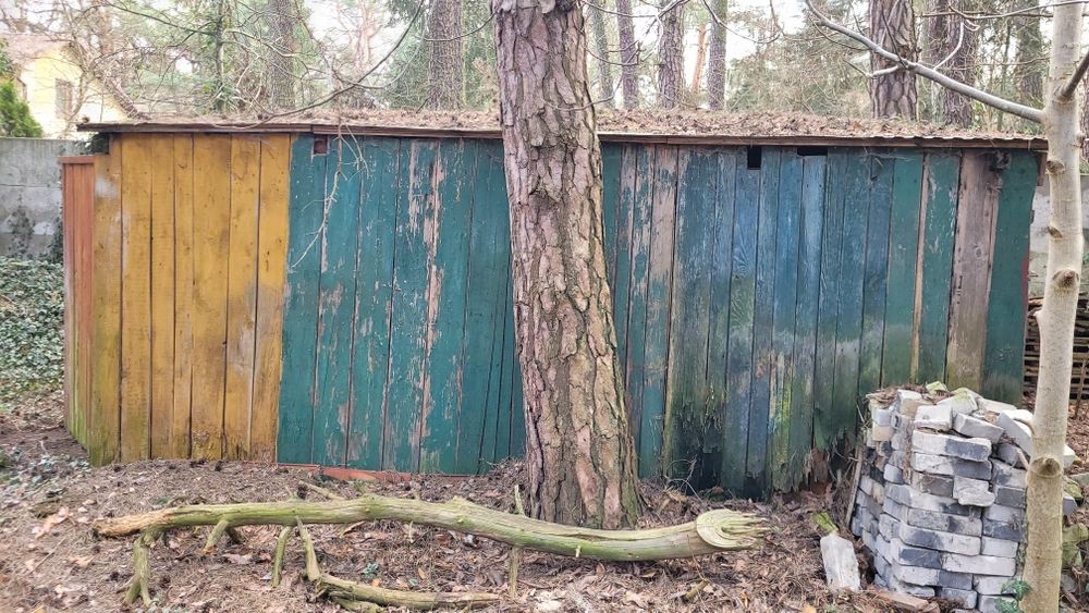 Oddam stare deski z domu oraz szop