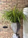 Sztuczna roślina dekoracyjna  120 cm  trawa dracena / z ekspozycji