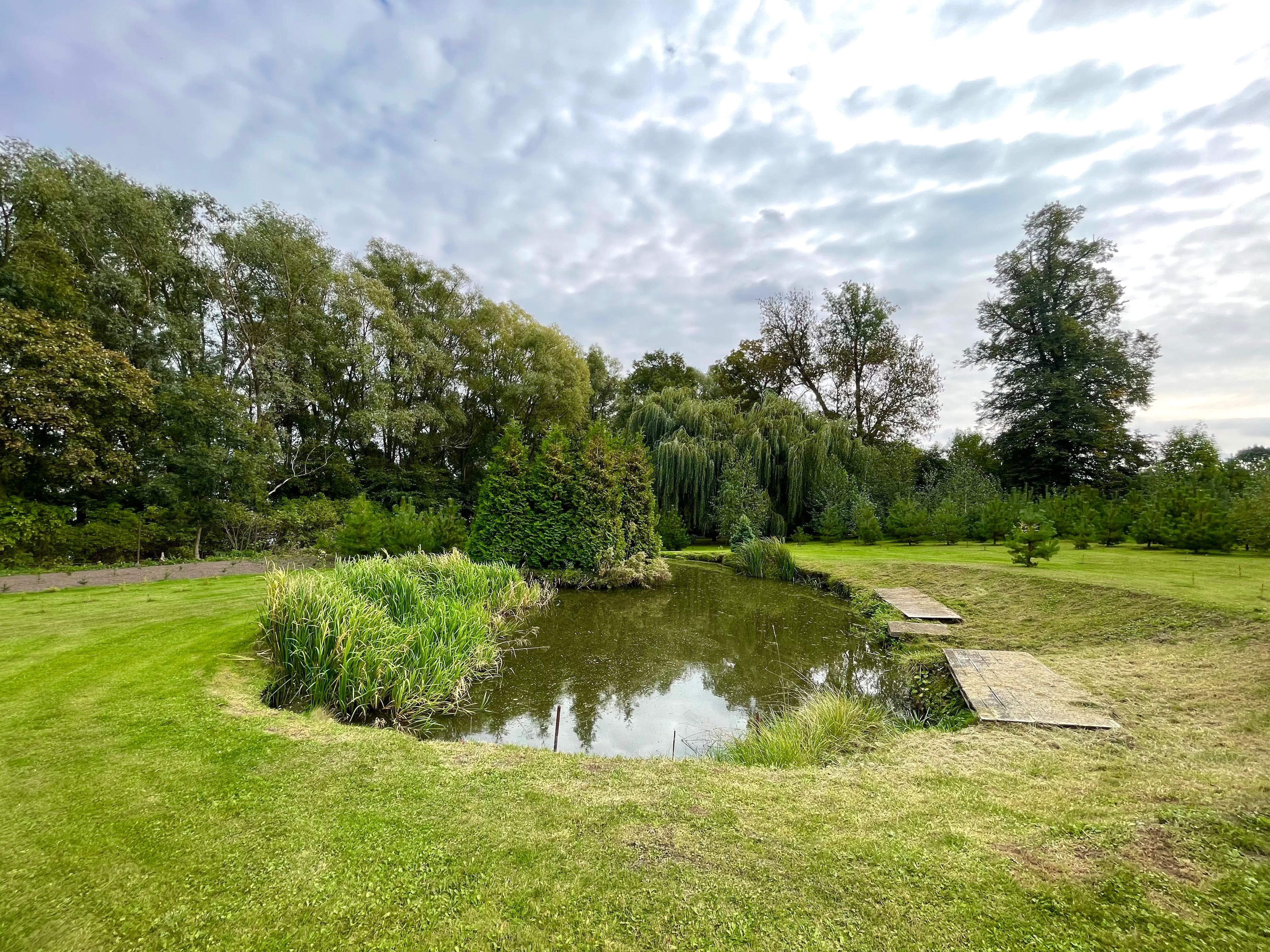 Trląg,posiadłosć nad samym jeziorem Pakoskim,Janikowo, 7013m2,dom123m2