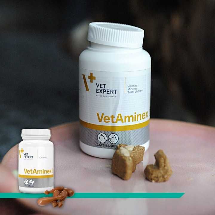 Preparat dla psów i kotów witaminy minerał Vet Expert Vetaminex 60 x 2