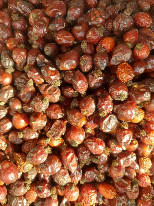 Шиповник сушеный 2025 шипшина