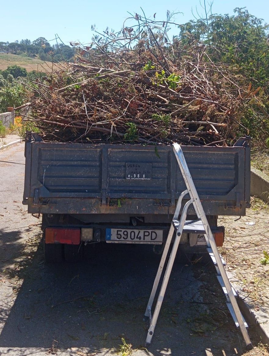 CARRINHAS para todo o tipo de recolha de resíduos de jardinagem e lixo