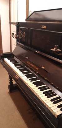 Piano Bbr. Zimmermann