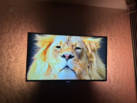 Телевізор Philips 43PUS6501/12