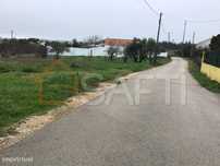 Terreno Rústico de 12.320m2, em zona sossegada com Montado e planta...
