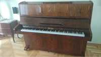 Pianino CALISIA M-36