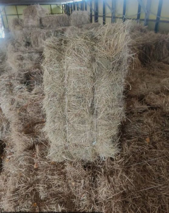 Продам сіно в тюках