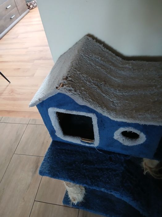 Drapak dla kotów...