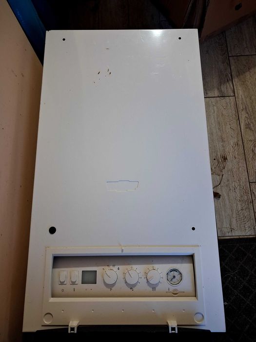 Piec gazowy jednofunkcyjny Wolf TGG-24