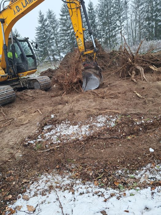 Wycinki drzew czyszczenie działek podnośnik koszowy rębak wycinka