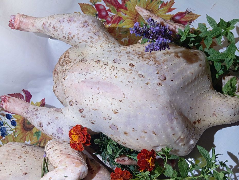 Продам. Тушки індика, індокачок ціна договірна.