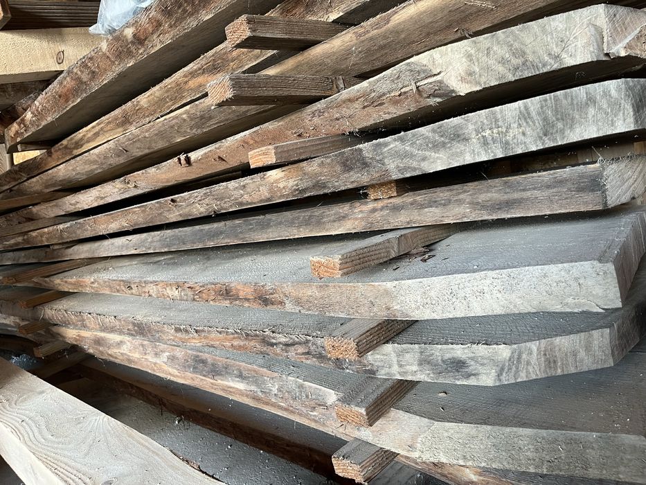 Foszty dąb bezszypułkowy