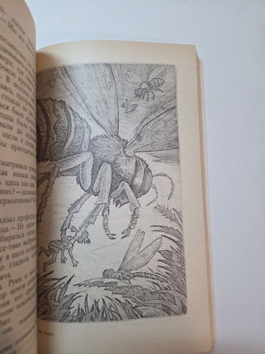 Мир приключений. Необыкновенный приключения Карина и Вали. Ян Лариса.