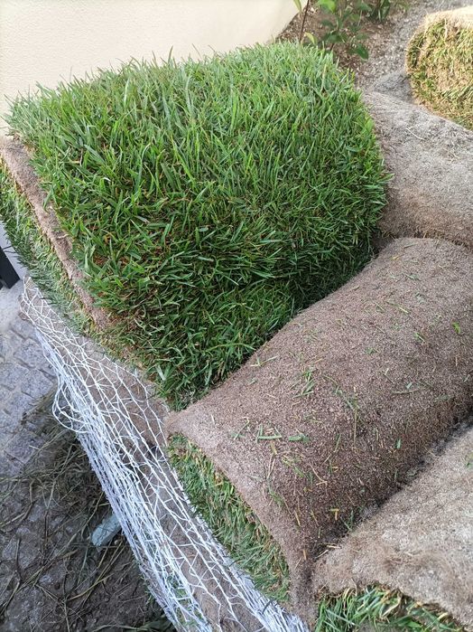 Serviços de jardinagem