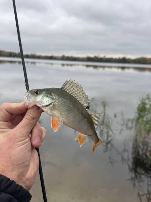 Azura X-Game X64SUL Nano TZ 1.93м 0.2-2г