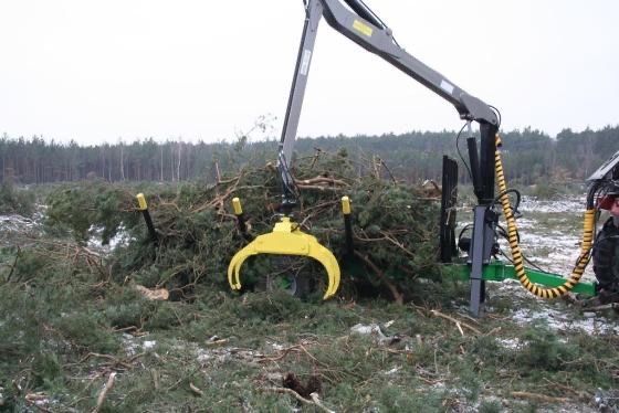 Wycinka drzew, czyszczenie działek. Skup drewna.