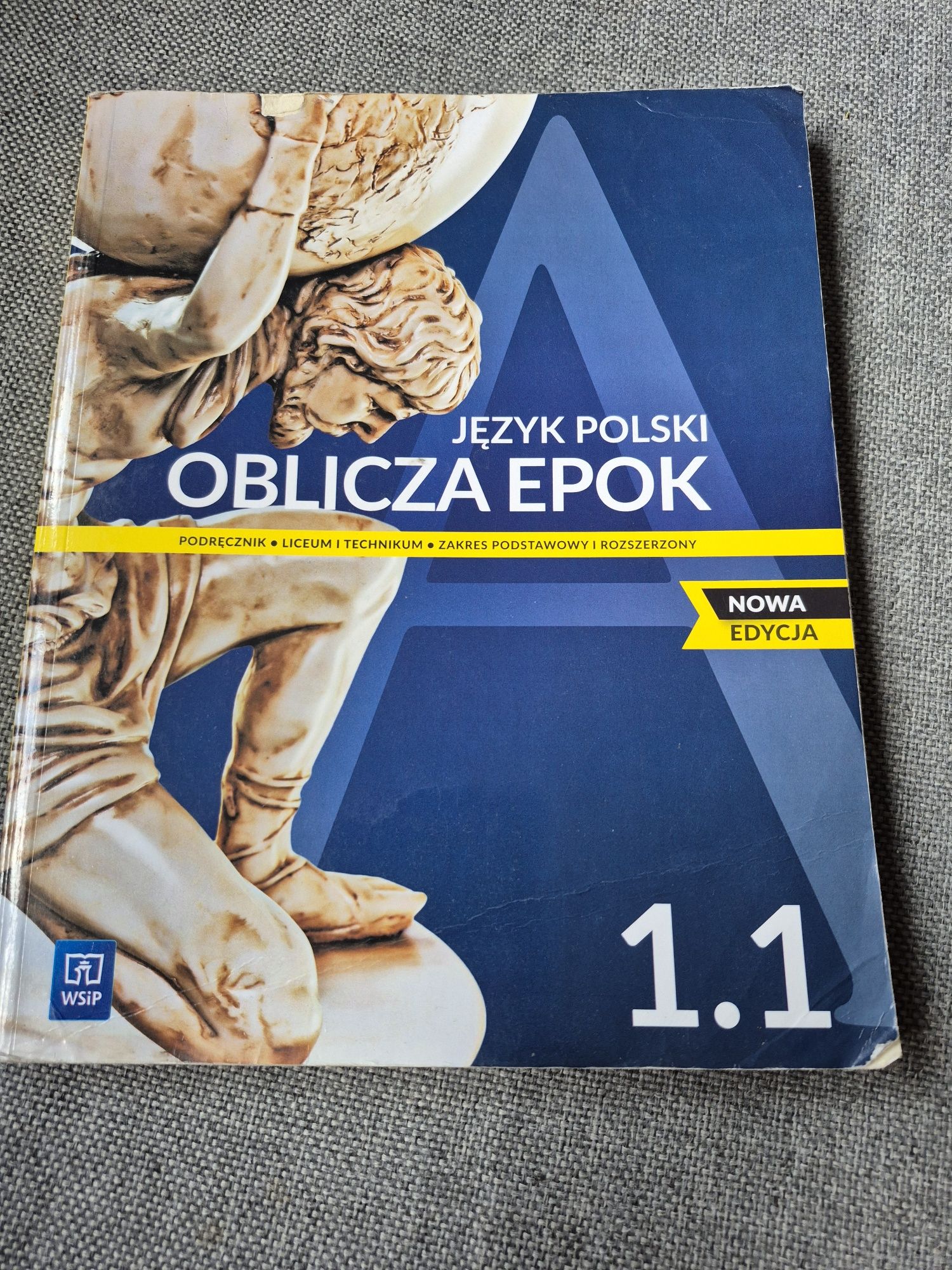 Podręcznik oblicza epok 1.1 Wsip