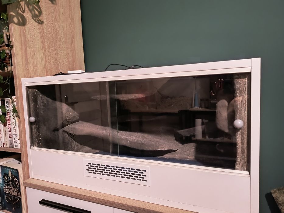 terrarium 80 x 40 x 40