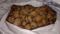 Орехи грецкие, экологически чистые