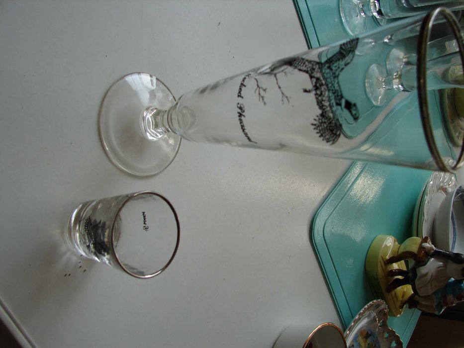 Kieliszki na piwo i alkohole