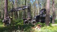 Ponsse Ergo H73 harwester