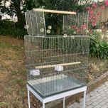 NOVO - Gaiola ZINCADA 60cm Rectangular para CATURRA Domesticada