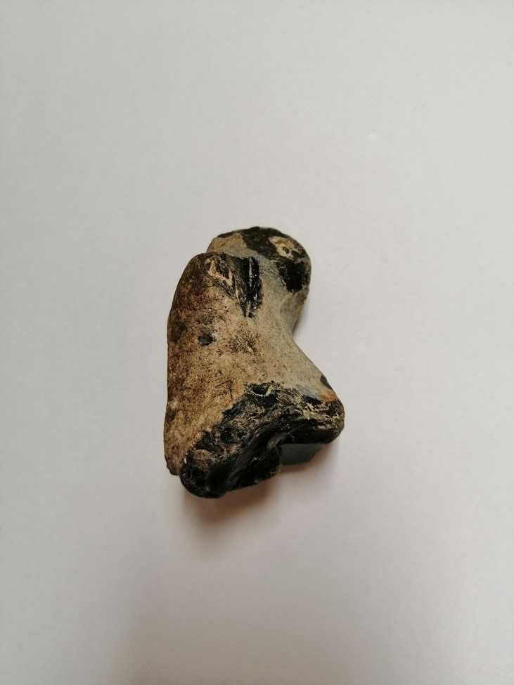 Skamielina, skamieniałość. Rozmiar 7x4,5 cm, waga 120g.