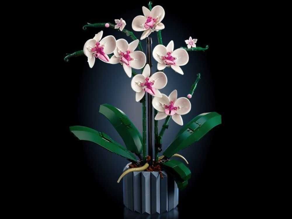 LEGO Botanicals Creator Orchidea Zestaw Duży Kwiaty Doniczka Prezent