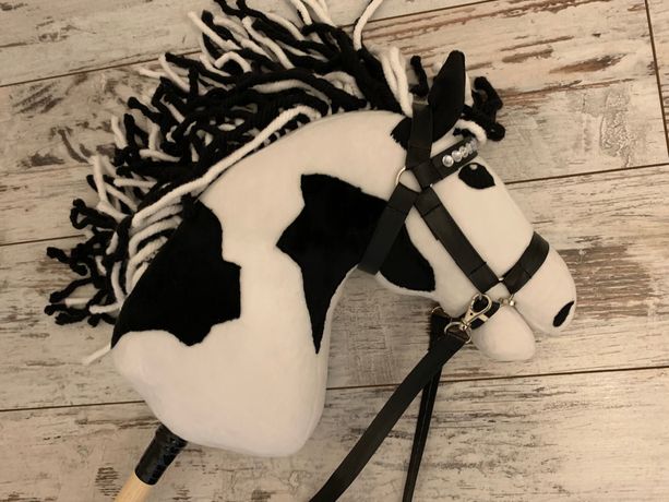 Hobby horse Missisipi