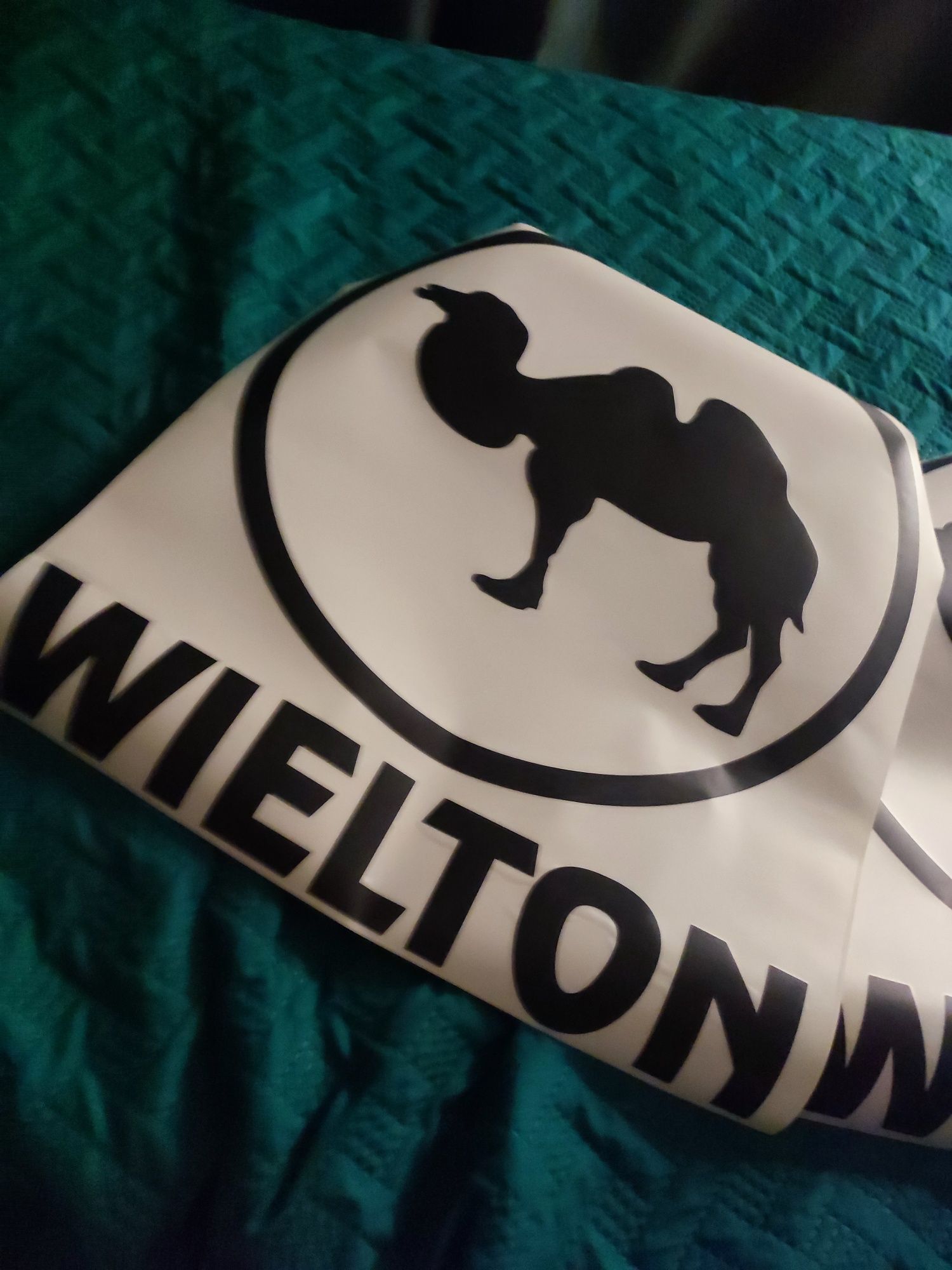 2 naklejki WIELTON 50x56