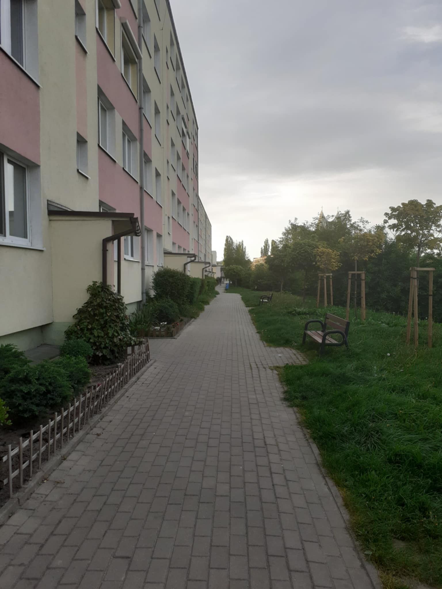 Pokój 1 os, do wynajęcia