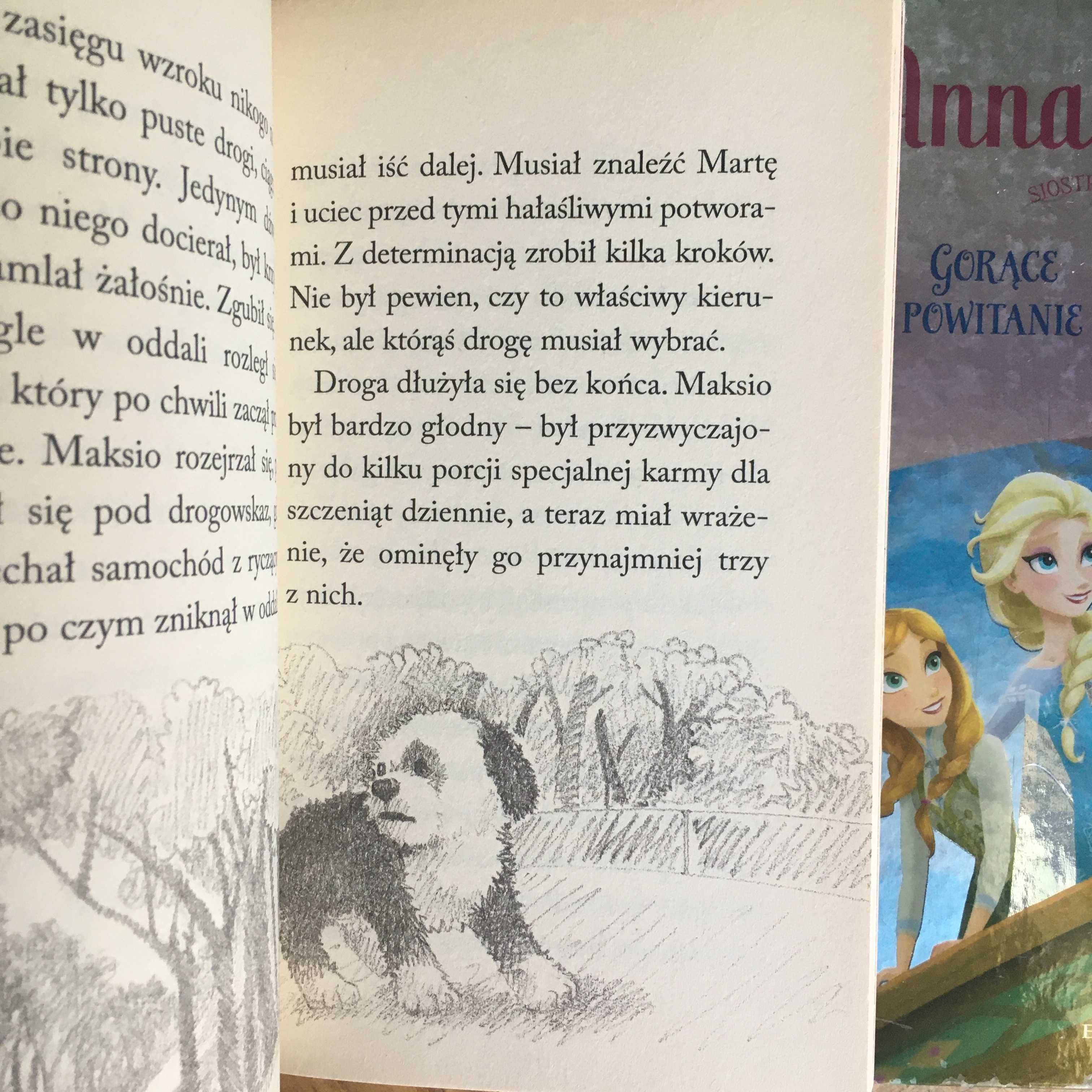 książka Anna i Elsa gorące powitanie Maksio szuka domu Holly Webb
