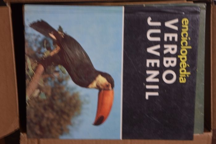 Livros: ENCICLOPÉDIA com variadíssimos temas (coleção dos anos 60 etc.