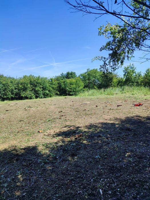 Czyszczenie działek wycinka drzew zrebkowanie koszenie