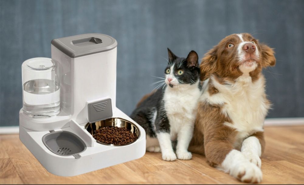 Podajnik automatyczny dla kota psa